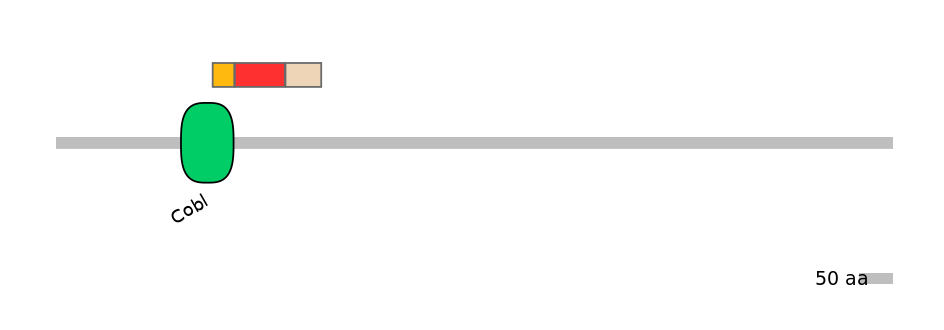 MmuEX6101667-INC