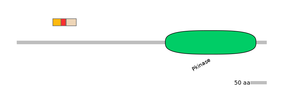 MmuEX6102057-INC