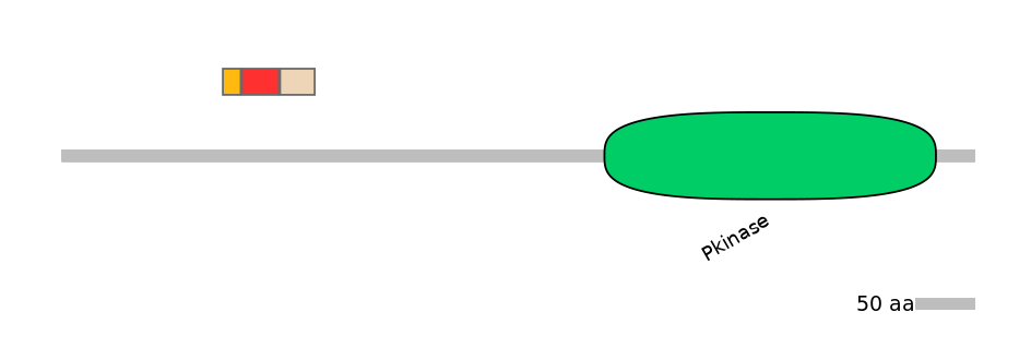 MmuEX6102058-INC