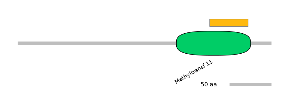 MmuEX6102072-EXC