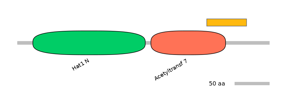 MmuEX6102107-EXC