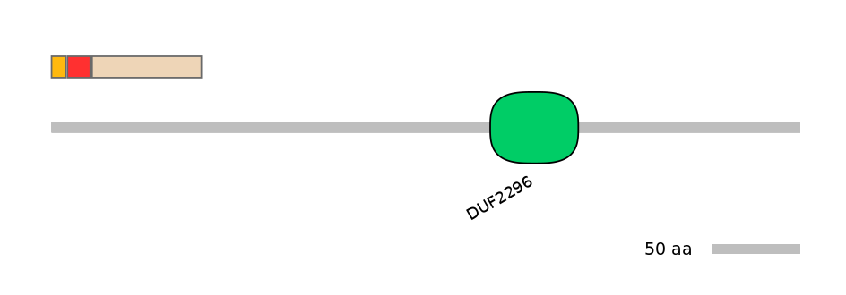 MmuEX6102216-INC