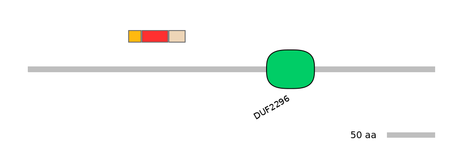 MmuEX6102217-INC