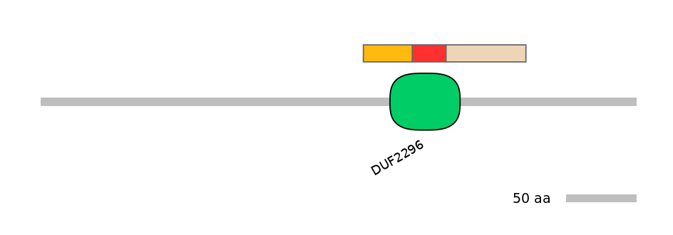 MmuEX6102221-INC