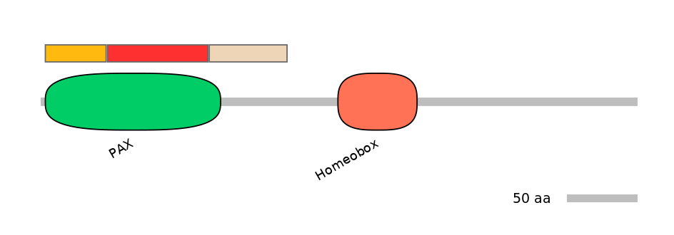 MmuEX6103399-INC