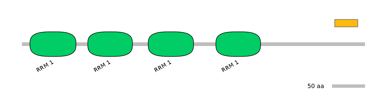 MmuEX6106806-EXC