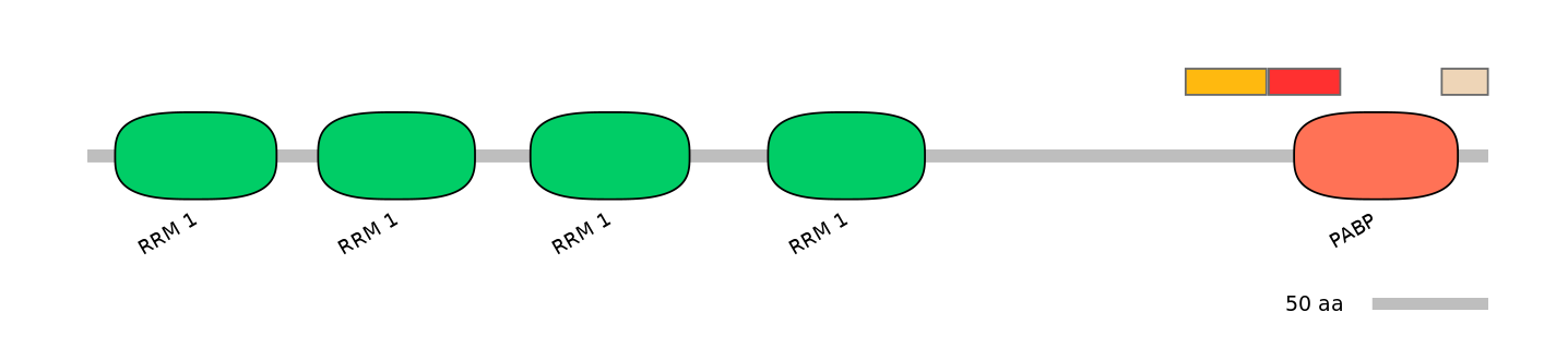 MmuEX6106806-INC