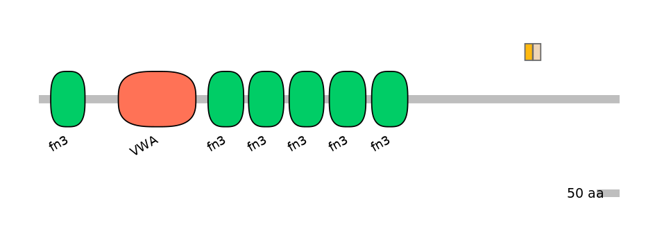 MmuEX6107614-EXC