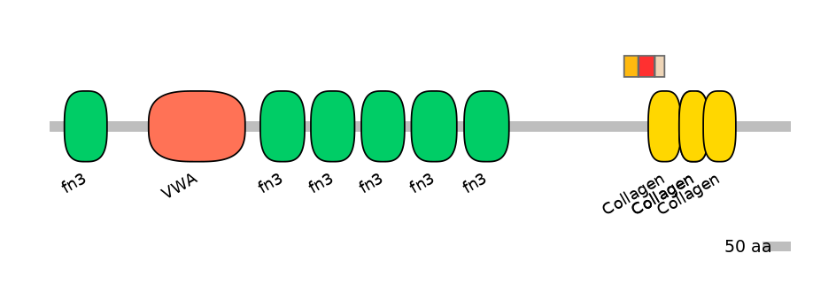 MmuEX6107616-INC