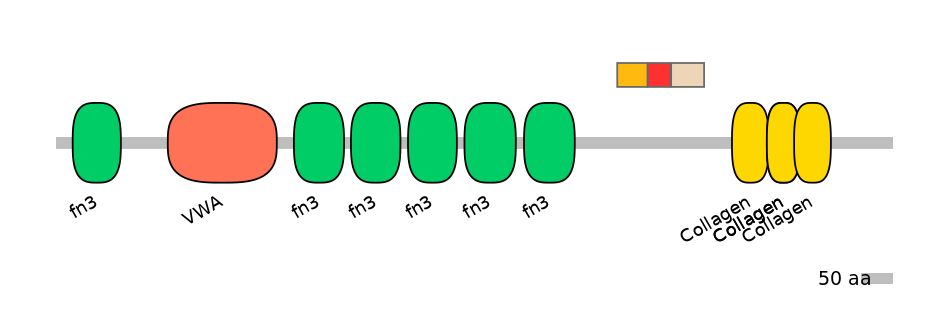MmuEX6107617-INC