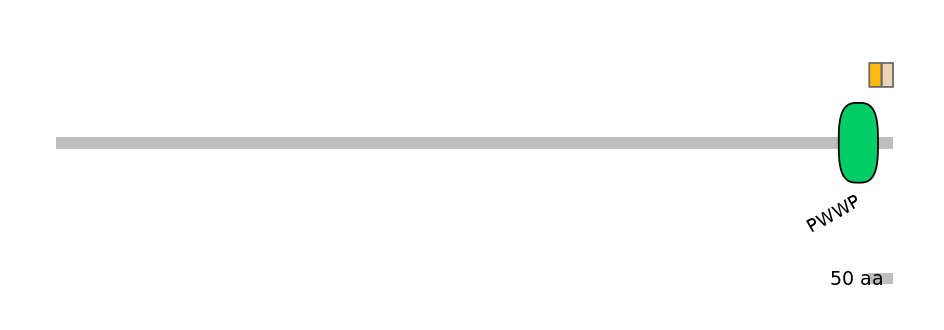 MmuEX7000904-EXC
