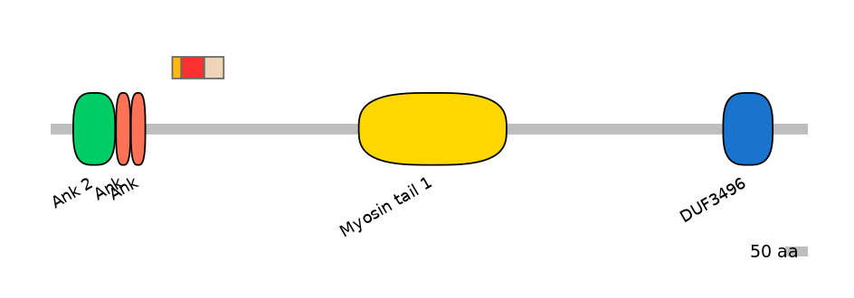 MmuEX7003481-INC