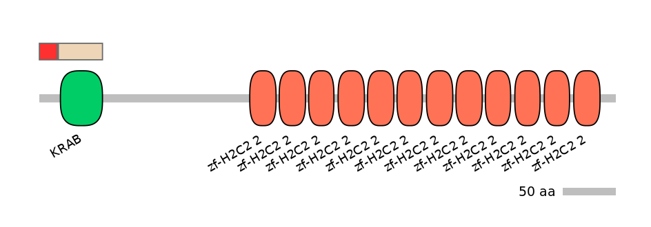 MmuEX7019048-INC