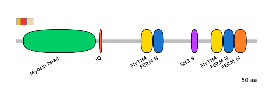 MmuEX7034022-INC