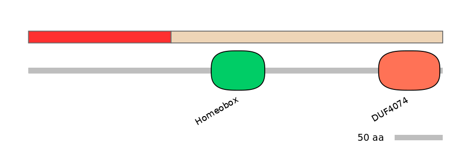 MmuEX7034441-INC