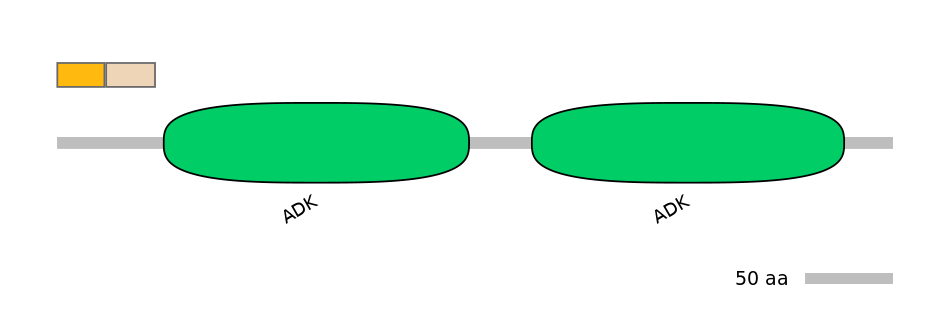 MmuINT0000405-EXC