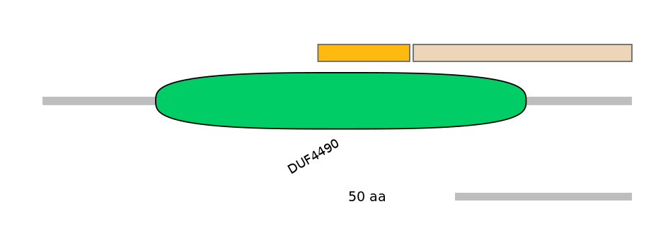 MmuINT0000854-EXC