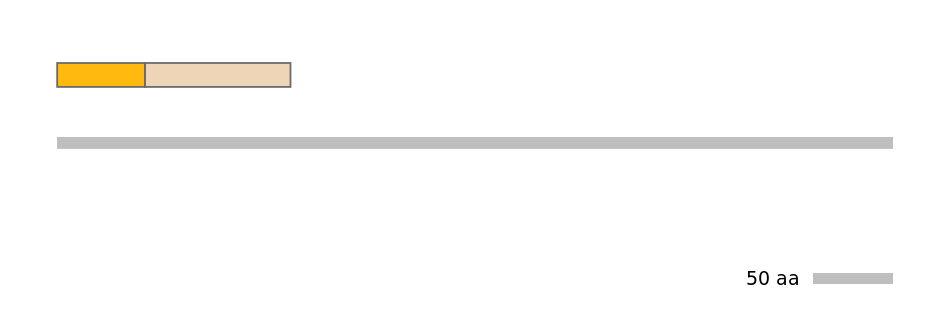 MmuINT0001098-EXC
