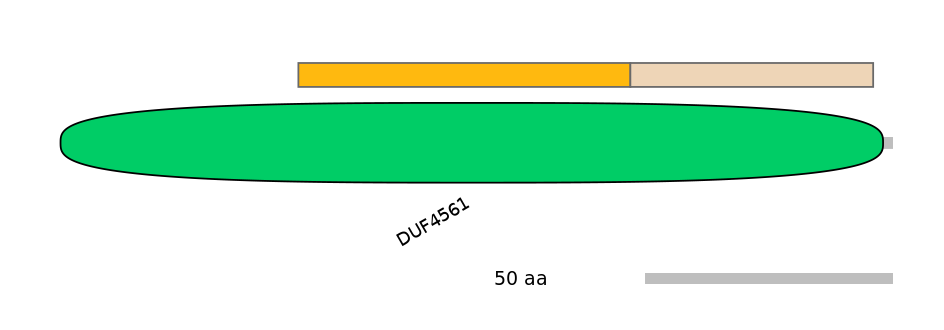 MmuINT0001242-EXC