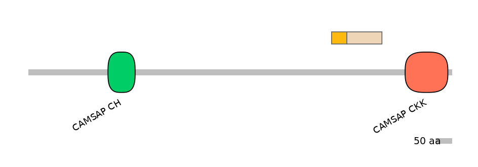MmuINT0002329-EXC