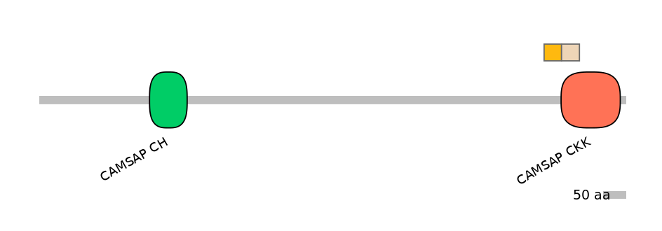 MmuINT0002332-EXC