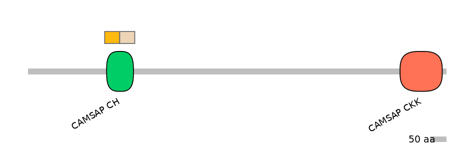 MmuINT0002337-EXC