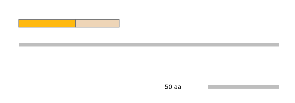 MmuINT0003181-EXC
