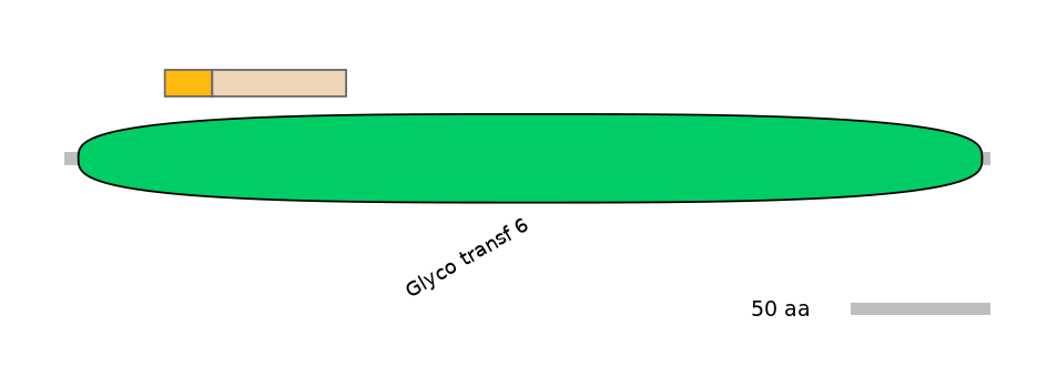 MmuINT0003821-EXC