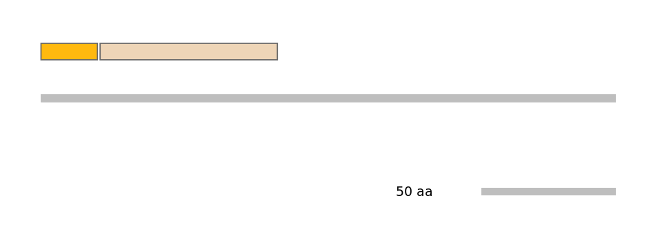 MmuINT0004375-EXC