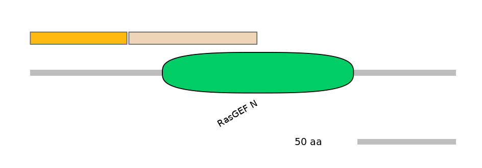 MmuINT0004521-EXC