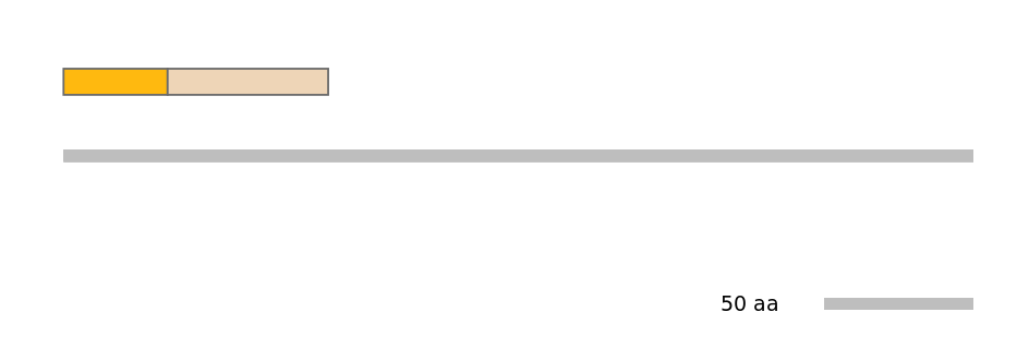 MmuINT0005070-EXC