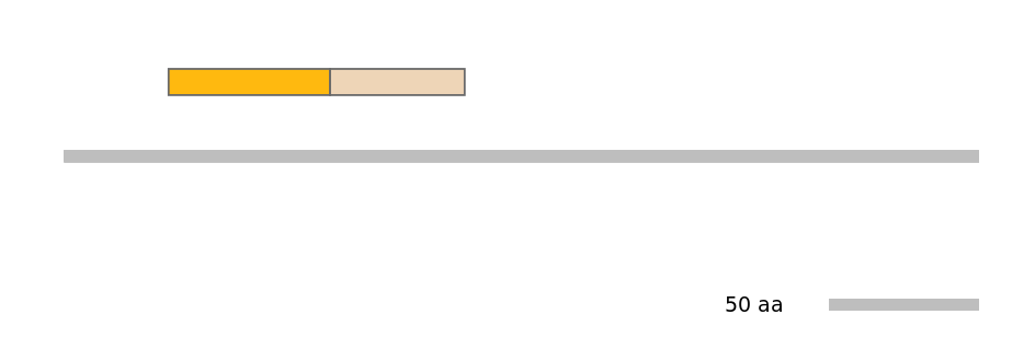 MmuINT0005071-EXC