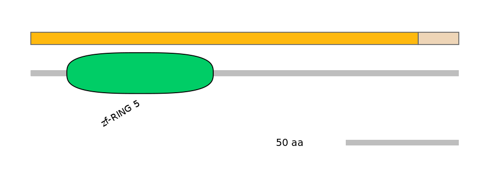 MmuINT0006355-EXC
