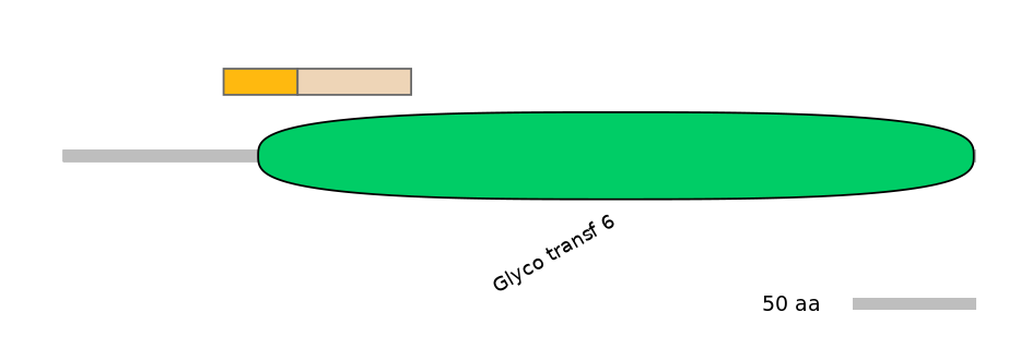 MmuINT0006549-EXC