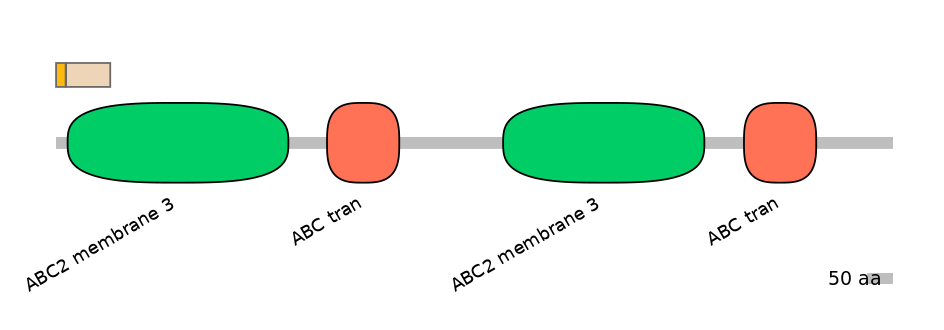 MmuINT0007710-EXC