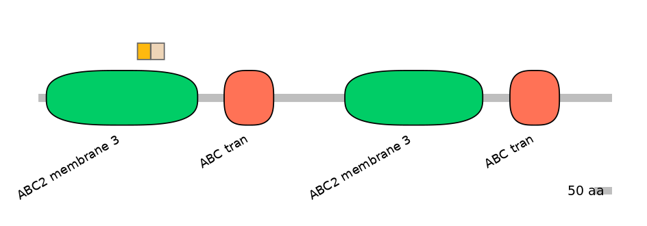 MmuINT0007726-EXC