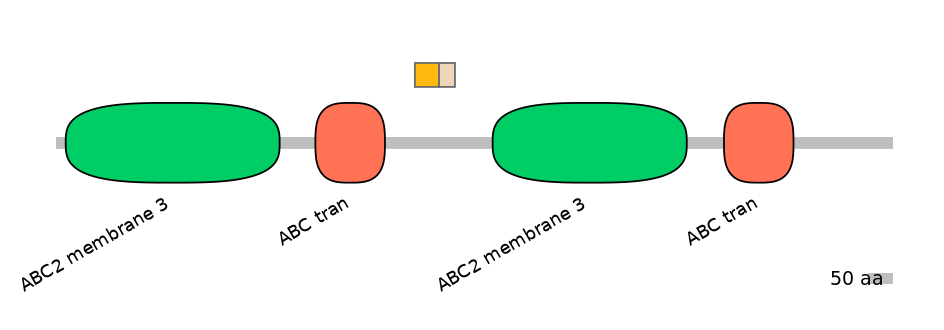 MmuINT0007764-EXC