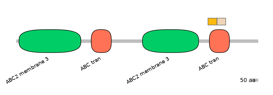 MmuINT0007775-EXC