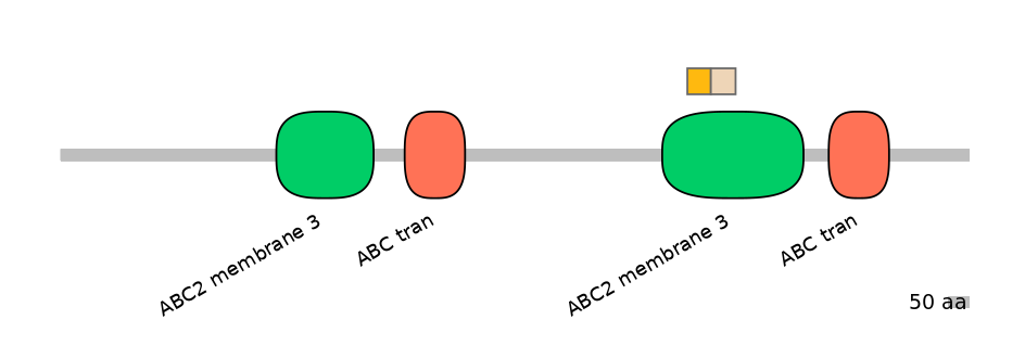 MmuINT0008015-EXC