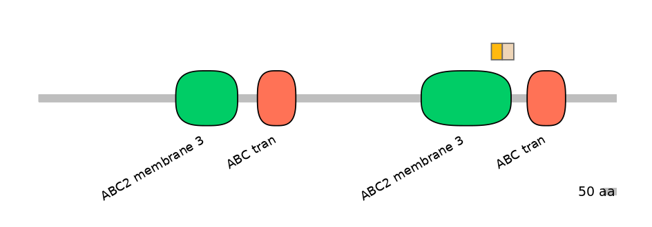 MmuINT0008019-EXC