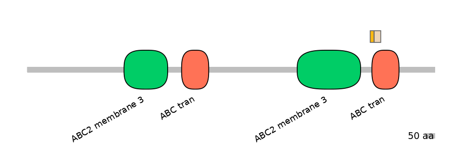 MmuINT0008022-EXC