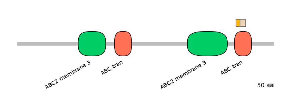 MmuINT0008024-EXC