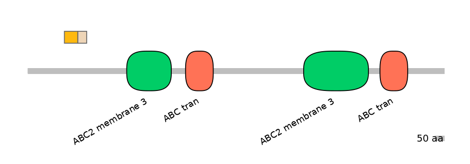 MmuINT0008032-EXC