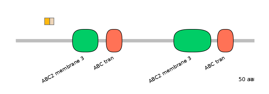 MmuINT0008033-EXC