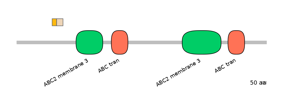 MmuINT0008034-EXC