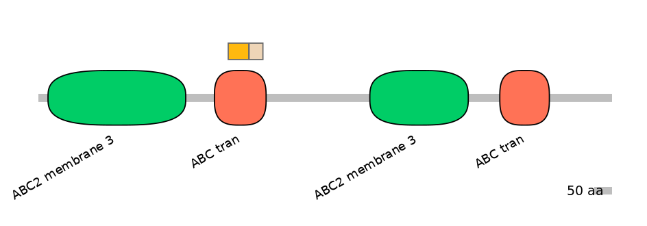 MmuINT0008077-EXC