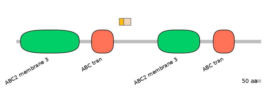 MmuINT0008080-EXC