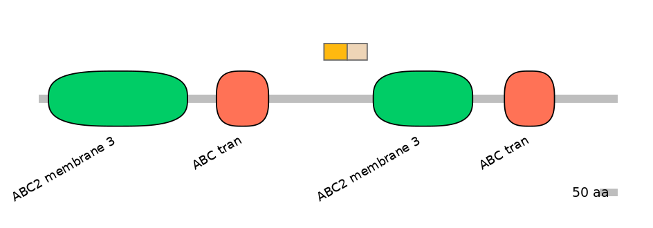 MmuINT0008083-EXC