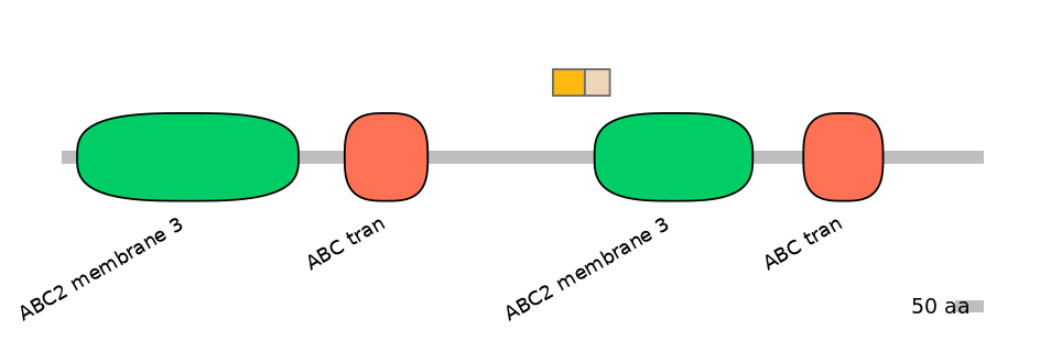 MmuINT0008085-EXC