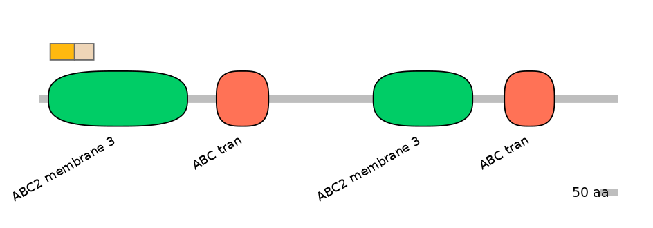 MmuINT0008095-EXC